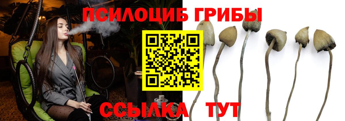 Учалы  Галлюциногенные грибы GOLDEN TEACHER  Вход с VPN 